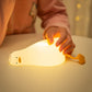 QuackyColin™️ - The Original Squishy Light