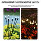 Firefly Garden Lights