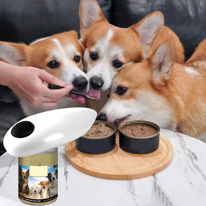 QuickCan™️ - Automatic Can Opener