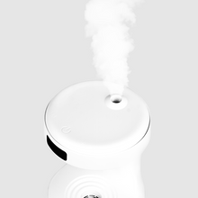 Load image into Gallery viewer, Anti-Gravity Rain Drop Humidifier
